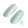 Gel Polish 328